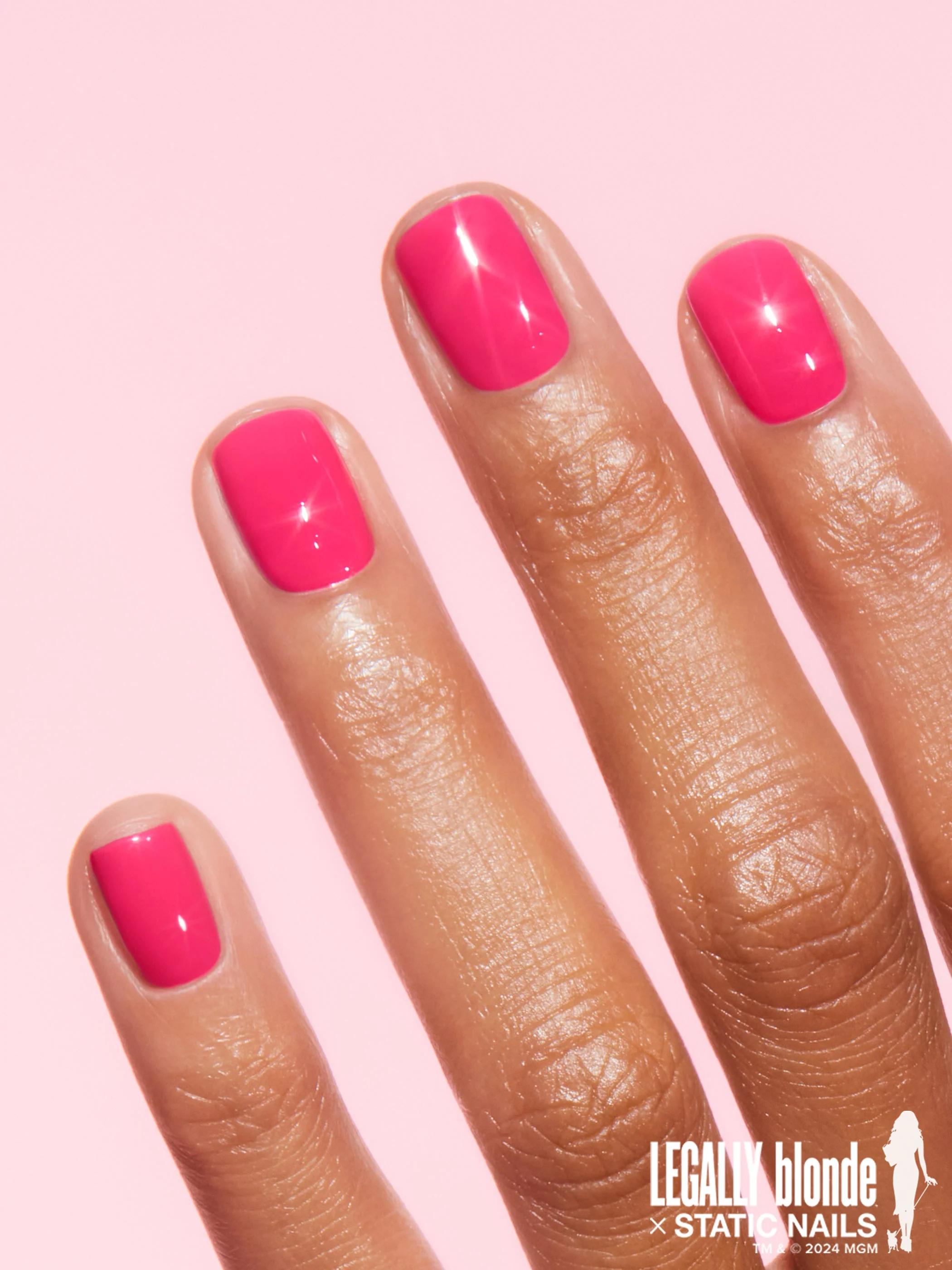 WHAT WOULD ELLE WOODS DO? - Image 2